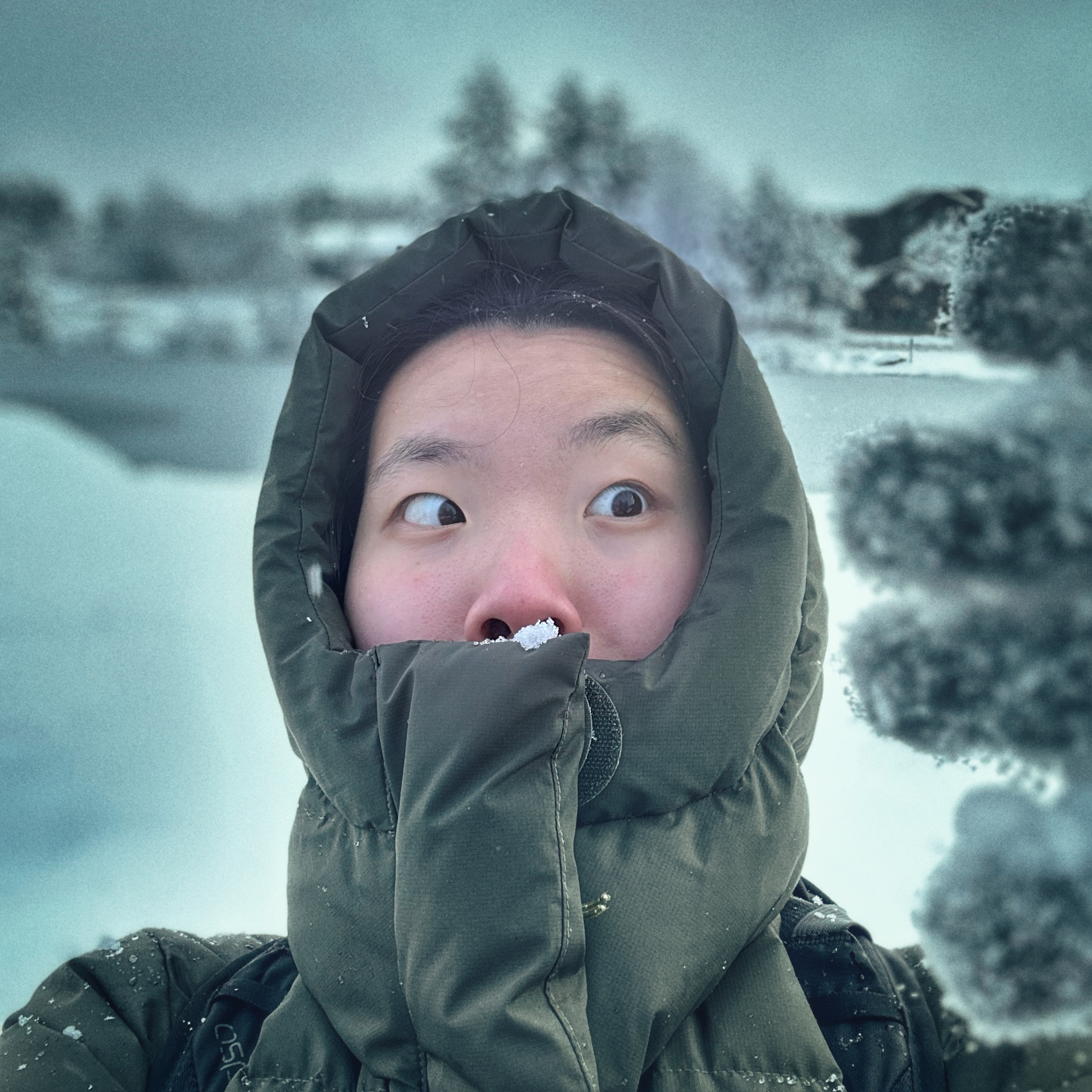 Zhixuan Qi | 齐智轩